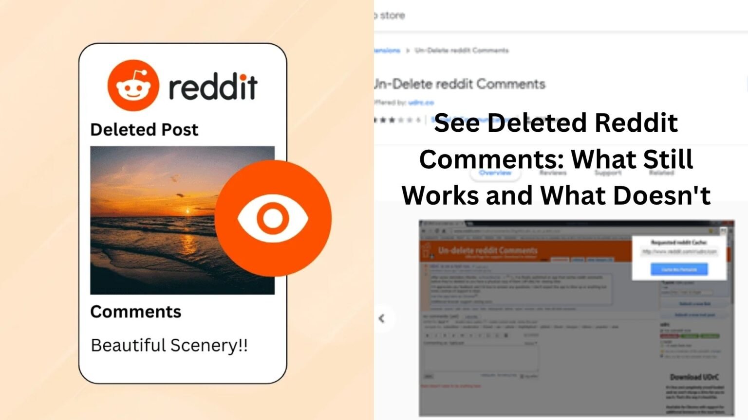 see deleted reddit comments