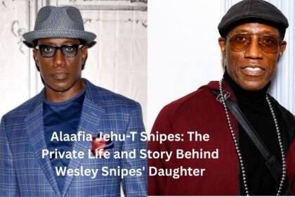 alaafia jehu-t snipes