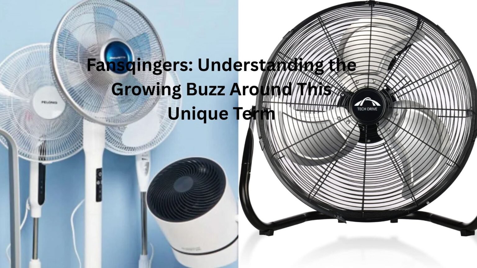 fansqingers
